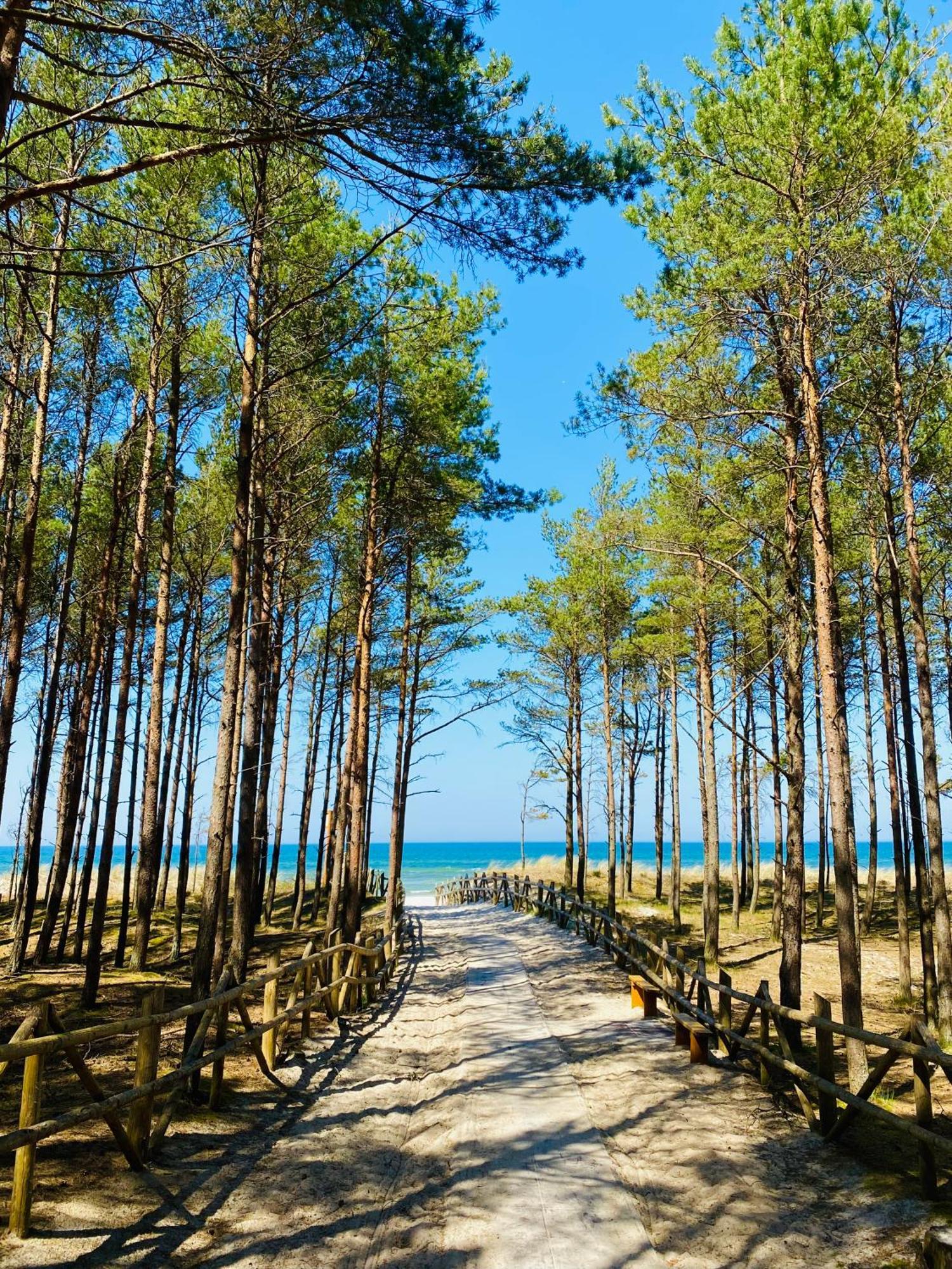 Villa Nadmorska Ostoja Lubiatowo Lubiatowo  Esterno foto